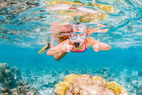 VIP Luxury Chartered Escapes, Exploring The Reef At Your Own Pace - Accommodation Port Macquarie 48
