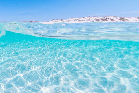 VIP Luxury Chartered Escapes, Exploring The Reef At Your Own Pace - Accommodation Port Macquarie 39