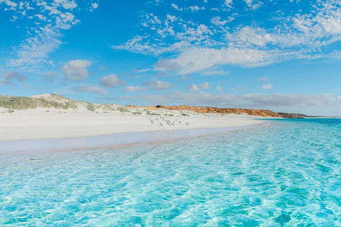 VIP Luxury Chartered Escapes, Exploring The Reef At Your Own Pace - Accommodation Port Macquarie 36