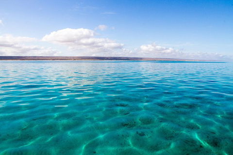 VIP Luxury Chartered Escapes, Exploring The Reef At Your Own Pace - Accommodation Port Macquarie 32