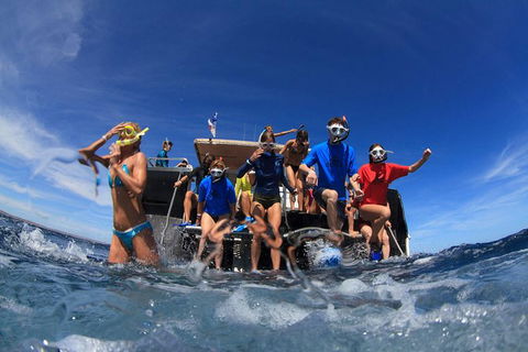 VIP Luxury Chartered Escapes, Exploring The Reef At Your Own Pace - Accommodation Port Macquarie 17