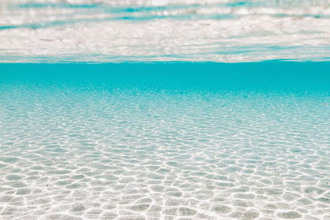 VIP Luxury Chartered Escapes, Exploring The Reef At Your Own Pace - Accommodation Port Macquarie 44