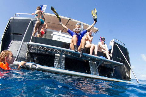 VIP Luxury Chartered Escapes, Exploring The Reef At Your Own Pace - Accommodation Port Macquarie 25