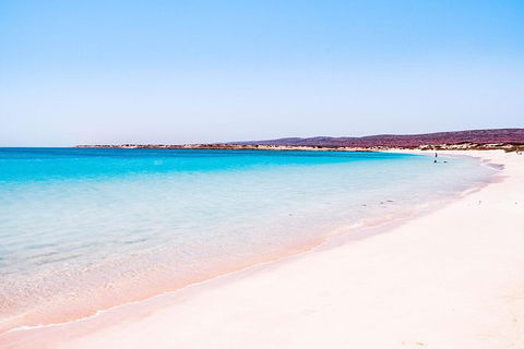 VIP Luxury Chartered Escapes, Exploring The Reef At Your Own Pace - Accommodation Port Macquarie 45