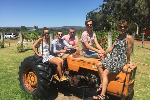 Half Day Swan Valley Wine Tour - Accommodation Port Macquarie 6