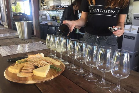 Half Day Swan Valley Wine Tour - Accommodation Port Macquarie 8