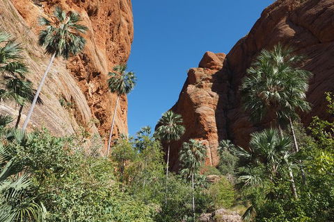 13-Day Kimberley Walking Tour Including Spectacular Gorges The Gibb River Road And The Bungle Bungles - Accommodation Port Macquarie 6