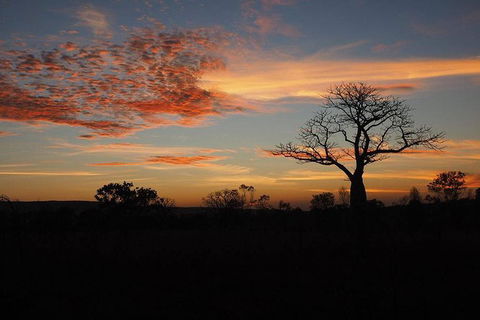 13-Day Kimberley Walking Tour Including Spectacular Gorges The Gibb River Road And The Bungle Bungles - Accommodation Port Macquarie 4