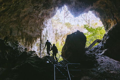 Mammoth Cave Self-guided Audio Tour - Accommodation Port Macquarie 1