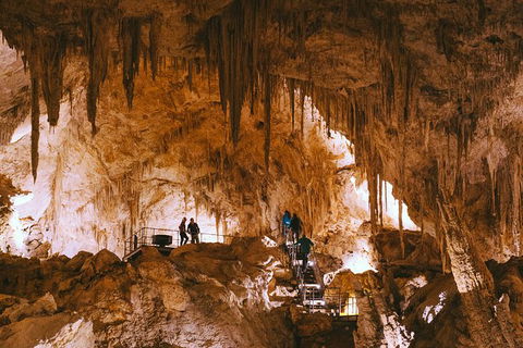 Mammoth Cave Self-guided Audio Tour - Accommodation Port Macquarie 0