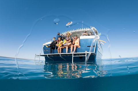 Swim With Whale Sharks - Ningaloo Reef - 3 Islands Whale Shark Dive - Accommodation Port Macquarie 11