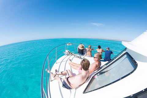 Swim With Whale Sharks - Ningaloo Reef - 3 Islands Whale Shark Dive - Accommodation Port Macquarie 22