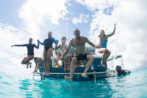 Swim With Whale Sharks - Ningaloo Reef - 3 Islands Whale Shark Dive - Accommodation Port Macquarie 4