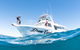 Swim With Whale Sharks - Ningaloo Reef - 3 Islands Whale Shark Dive - thumb 12