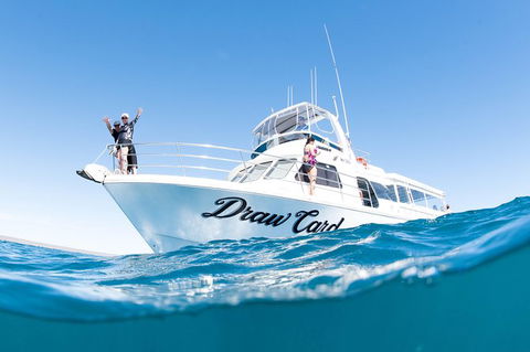 Swim With Whale Sharks - Ningaloo Reef - 3 Islands Whale Shark Dive - Accommodation Port Macquarie 12
