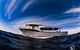 Ningaloo Whale Shark Swim On A Powerboat - thumb 5