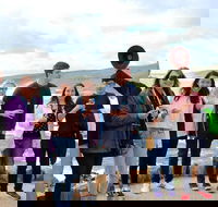 Margaret River Wine and Sights Discovery Tour from Busselton or Dunsborough - Accommodation Port Macquarie