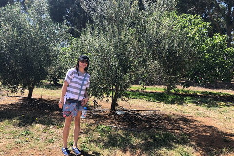 Full-Day Swan Valley, Wildlife Park, Winery & Fruit Orchard - Accommodation Port Macquarie 7