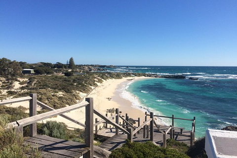 Wave Rock & Rottnest Island - Air & Ground Tour - Accommodation Port Macquarie 4