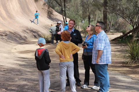 Wave Rock & Rottnest Island - Air & Ground Tour - Accommodation Port Macquarie 3