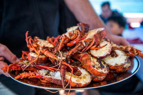Mandurah Wild Seafood Adventure Cruise - Accommodation Port Macquarie 1