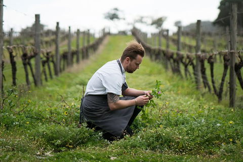 Vasse Felix Epicurean Tour And Tasting Experience With 5 Course Lunch - Accommodation Port Macquarie 9