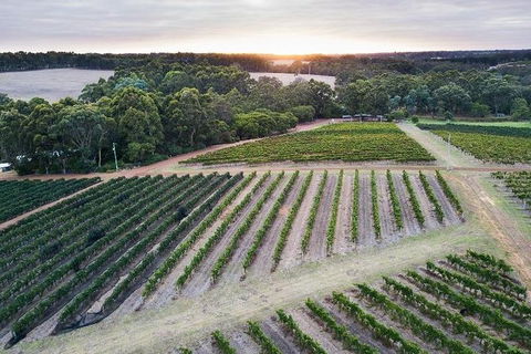 Vasse Felix Epicurean Tour And Tasting Experience With 5 Course Lunch - Accommodation Port Macquarie 7