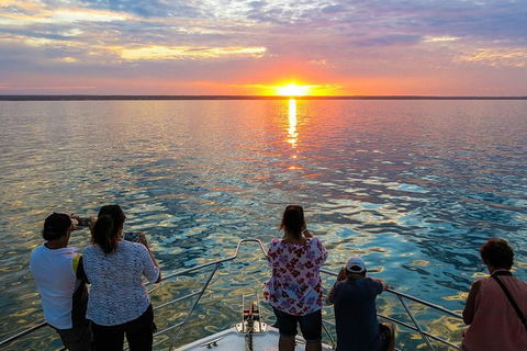 Humpback Whale Sunset Cruise - Accommodation Port Macquarie 1