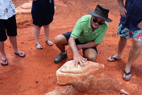 Broome Panoramic Town Tour - All The Extraordinary Sights And History Of Broome - Accommodation Port Macquarie 10
