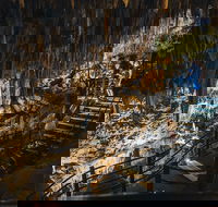 Ngilgi Cave Semi-guided Tour - Accommodation Port Macquarie