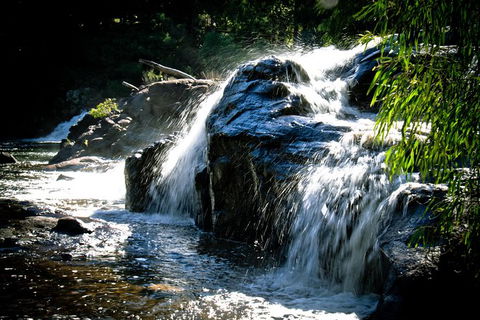 Margaret River Wine Adventure - The Tour For People Who Don\'t Do Tours! - Accommodation Port Macquarie 17
