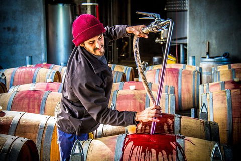 Margaret River Wine Adventure - The Tour For People Who Don\'t Do Tours! - Accommodation Port Macquarie 20