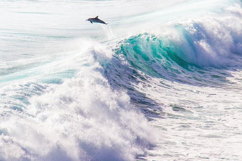Margaret River Wine Adventure - The Tour For People Who Don\'t Do Tours! - Accommodation Port Macquarie 29