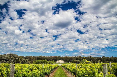 Margaret River Wine Adventure - The Tour For People Who Don\'t Do Tours! - Accommodation Port Macquarie 14