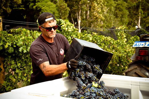 Margaret River Wine Adventure - The Tour For People Who Don\'t Do Tours! - Accommodation Port Macquarie 26