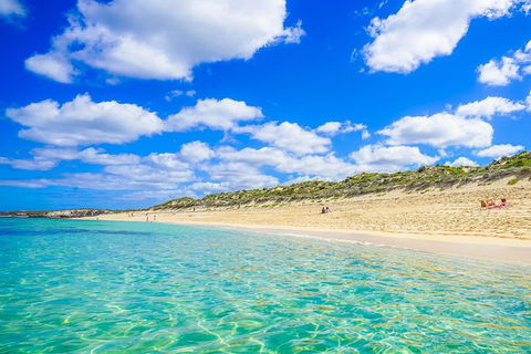 Margaret River Wine Adventure - The Tour For People Who Don\'t Do Tours! - Accommodation Port Macquarie 24