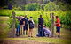 Margaret River Wine Adventure - The Tour For People Who Don\'t Do Tours! - thumb 27