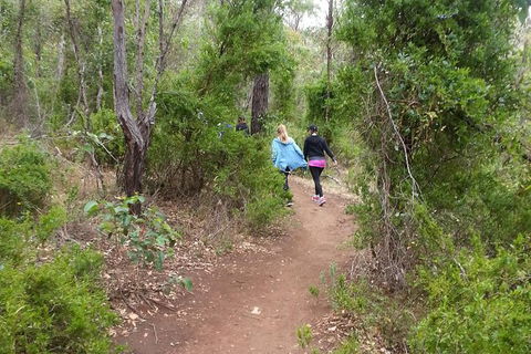 Granite Skywalk Porongurups - Accommodation Port Macquarie 3