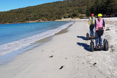 Albany Summit To Sea Adventure - Guided Segway Tour - Accommodation Port Macquarie 1