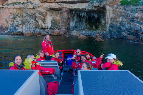 Dunsborough Jet Boat Sea Safari Along Cape Naturaliste Coast - Accommodation Port Macquarie 0