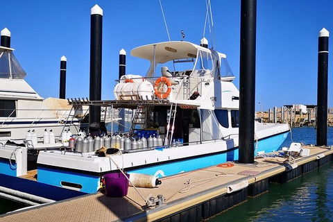 Muiron Island Dive & Snorkel Tour - Accommodation Port Macquarie 7
