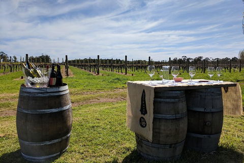 Margaret River Small-Group Full-Day Wine & Food Tour - Accommodation Port Macquarie 4