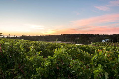 Margaret River Indulge And Discover Day Tour - Accommodation Port Macquarie 5