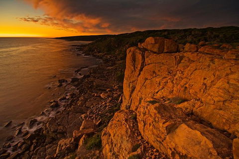 Margaret River Indulge And Discover Day Tour - Accommodation Port Macquarie 13