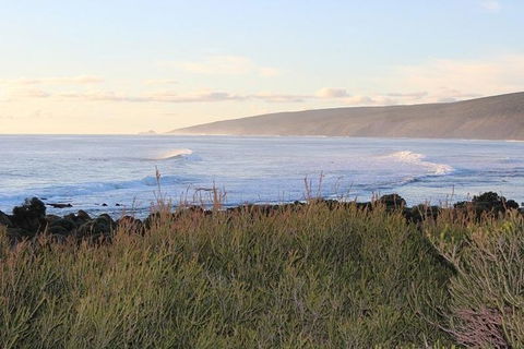 Margaret River Indulge And Discover Day Tour - Accommodation Port Macquarie 6