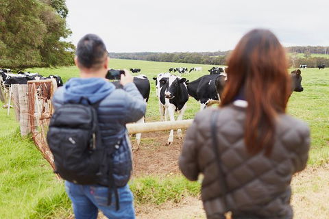 Margaret River Indulge And Discover Day Tour - Accommodation Port Macquarie 14
