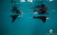 Turtle Tours On The Ningaloo Reef, Exmouth. 1/2 Day Cruise. - thumb 1