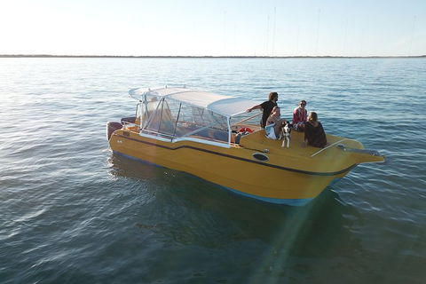 Turtle Tours On The Ningaloo Reef, Exmouth. 1/2 Day Cruise. - Accommodation Port Macquarie 8