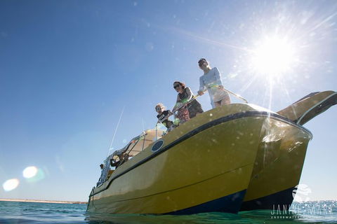 Turtle Tours On The Ningaloo Reef, Exmouth. 1/2 Day Cruise. - Accommodation Port Macquarie 7