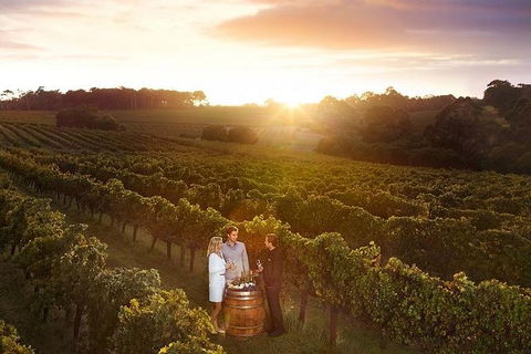 Leeuwin Estate: Food And Wine Experience - Accommodation Port Macquarie 0